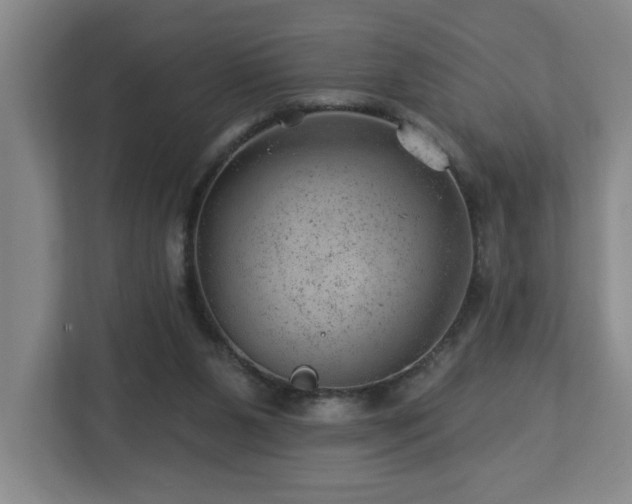 X0000112920111200908241234