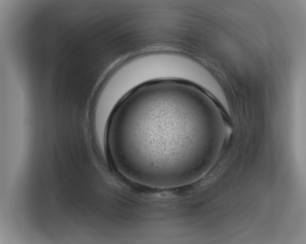 X0000112920112200908241234