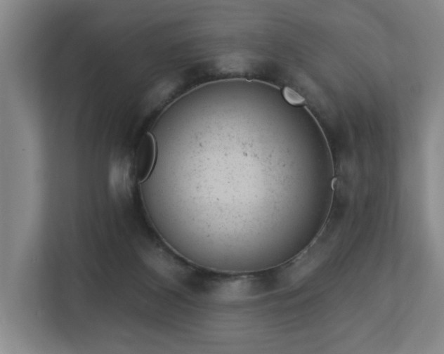 X0000112920116200908241234