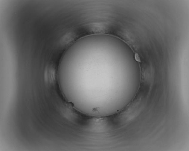 X0000112920117200908241234