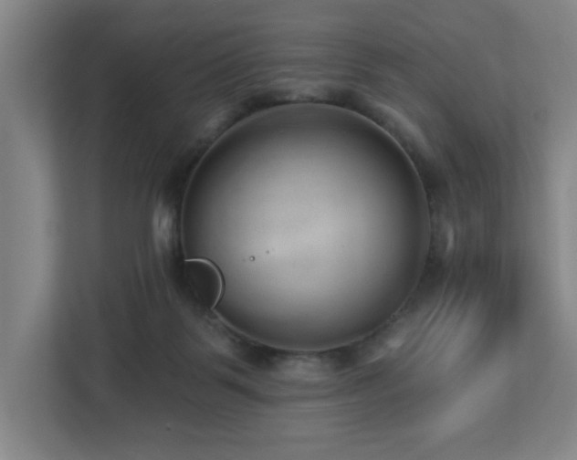 X0000112920123200908241234