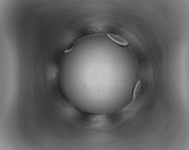 X0000112920132200908241234