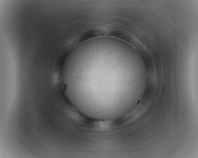 X0000112920134200908241234