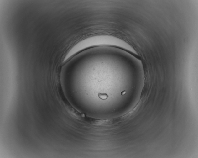 X0000112920136200908241234
