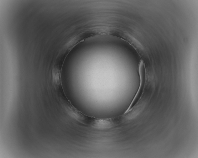 X0000112920141200908241234