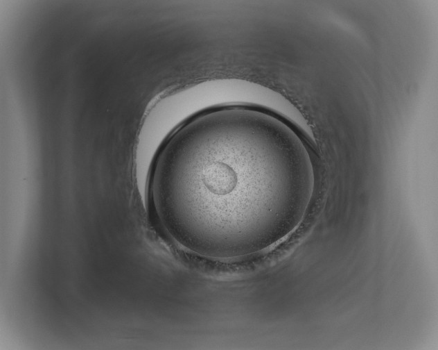 X0000112920144200908241233