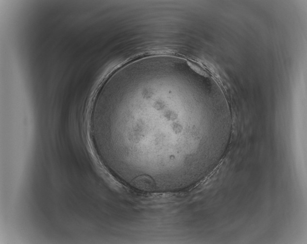 X0000112920145200908241233