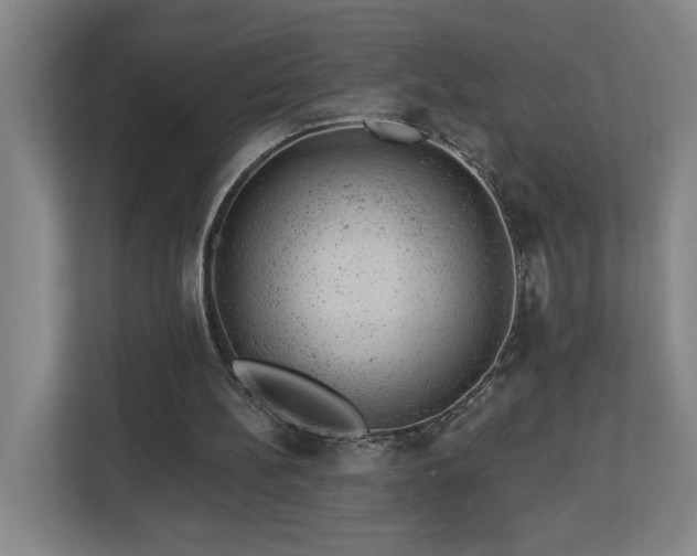 X0000112920148200908241233