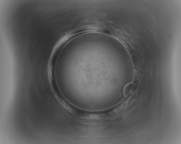 X0000112920149200908241233