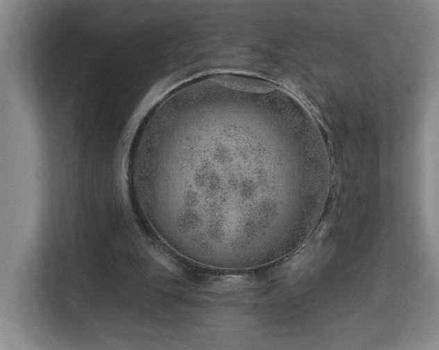 X0000112920151200908241233