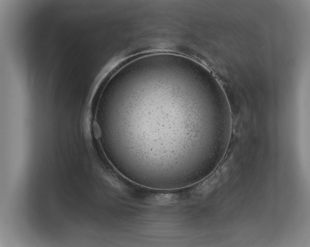 X0000112920152200908241233