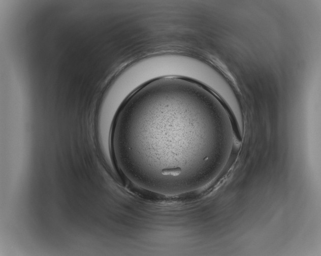X0000112920154200908241233