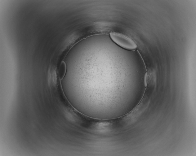 X0000112920158200908241233