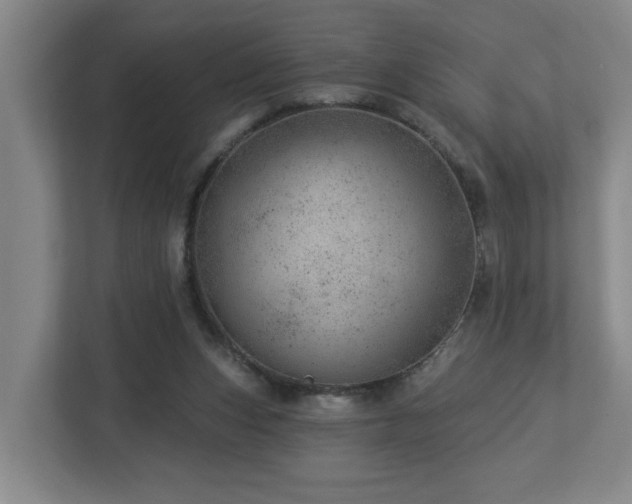 X0000112920159200908241233