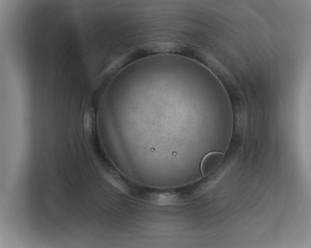 X0000112920165200908241233