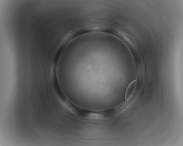 X0000112920167200908241233