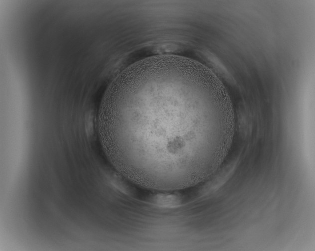 X0000112920169200908241233