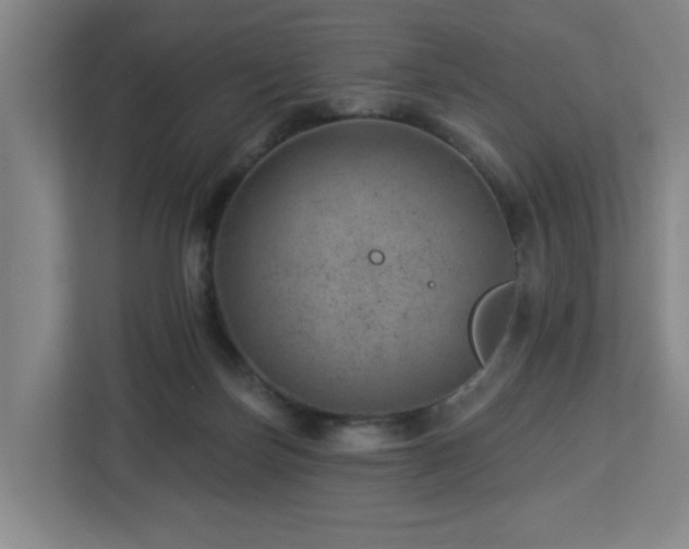 X0000112920171200908241233