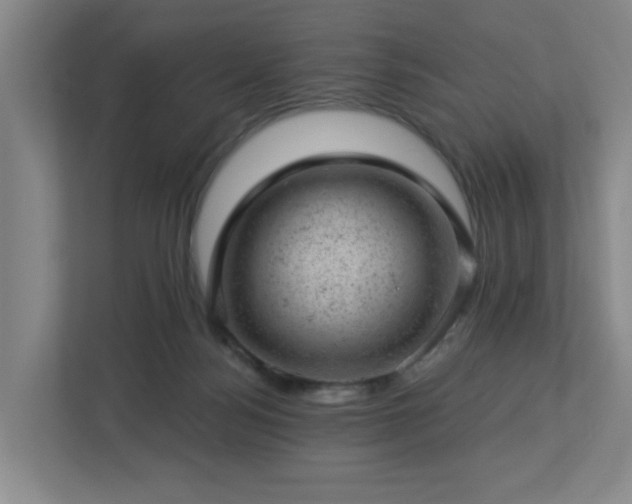 X0000112920172200908241233