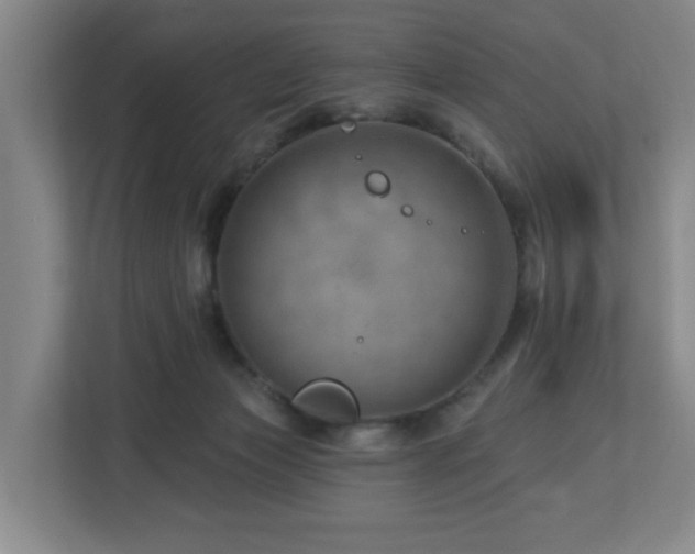X0000112920173200908241233