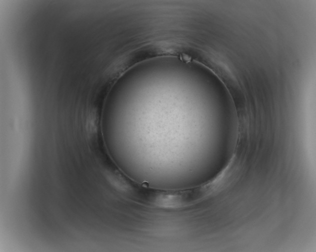 X0000112920174200908241233