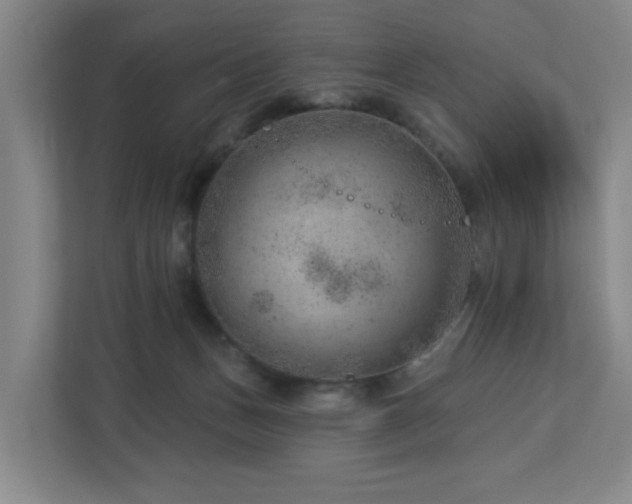 X0000112920175200908241233