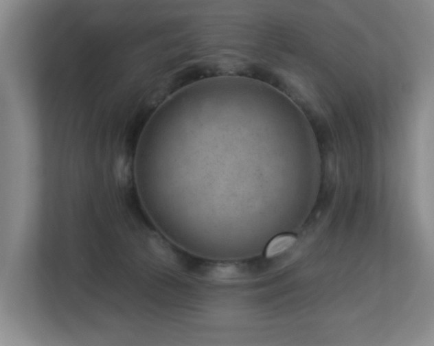 X0000112920177200908241233