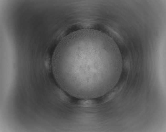 X0000112920181200908241233