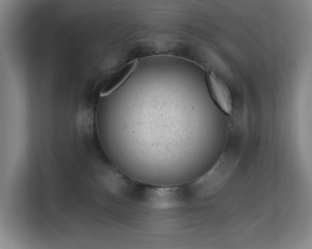 X0000112920184200908241233