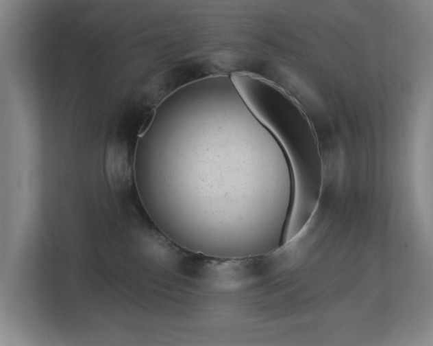 X0000112920186200908241233