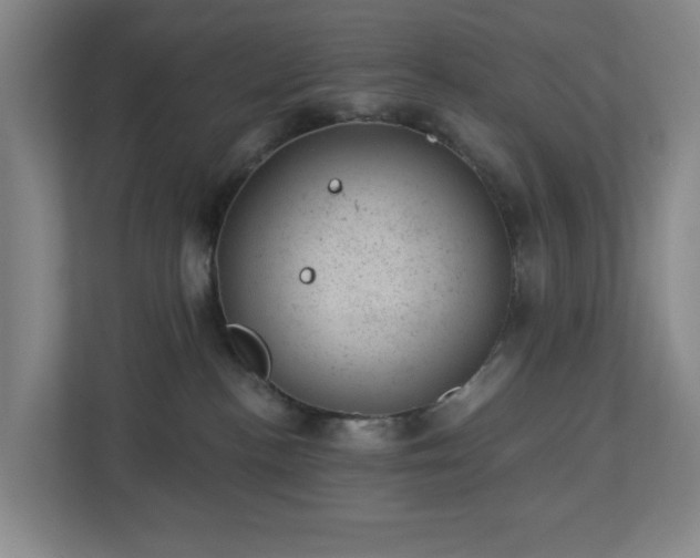 X0000112920188200908241233