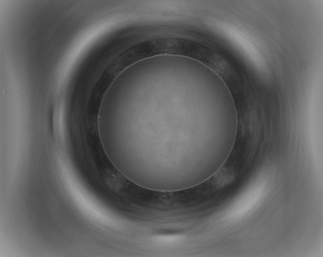 X0000112920189200908241233