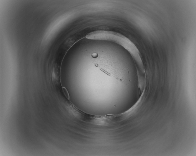 X0000112920190200908241233