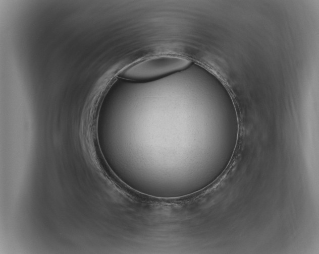 X0000112920193200908241233