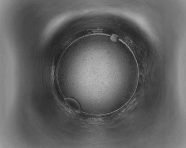 X0000112920194200908241233