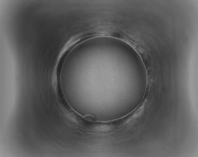 X0000112920198200908241233