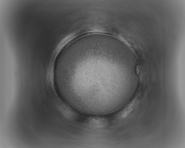 X0000112920199200908241233