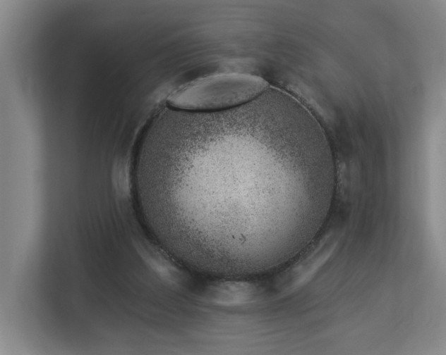 X0000112920203200908241233