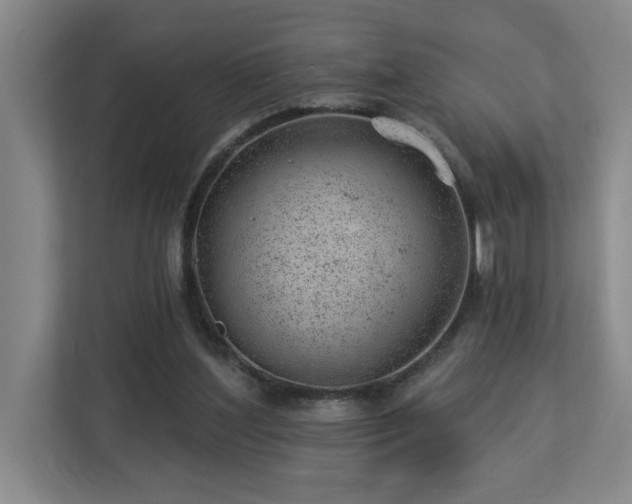 X0000112920204200908241233