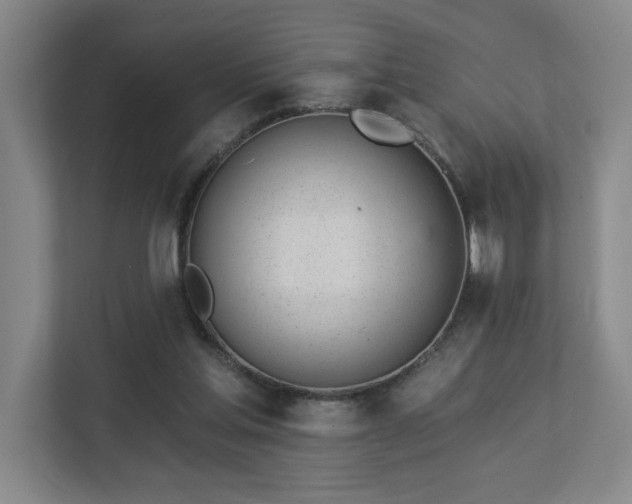 X0000112920205200908241233