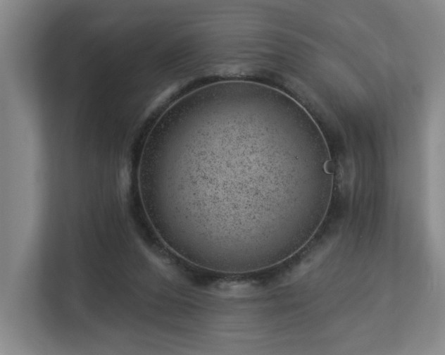 X0000112920208200908241233