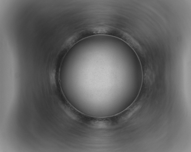X0000112920209200908241233