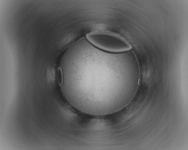 X0000112920211200908241233