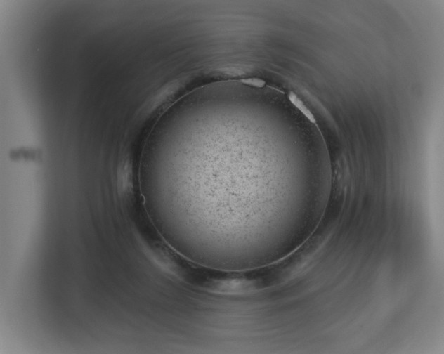X0000112920212200908241233