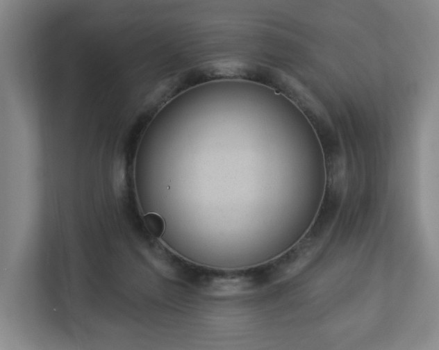 X0000112920213200908241233