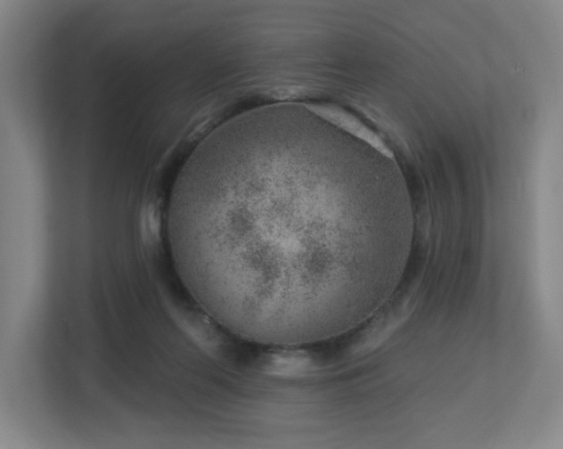 X0000112920214200908241233