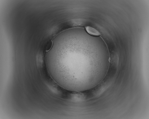 X0000112920215200908241233