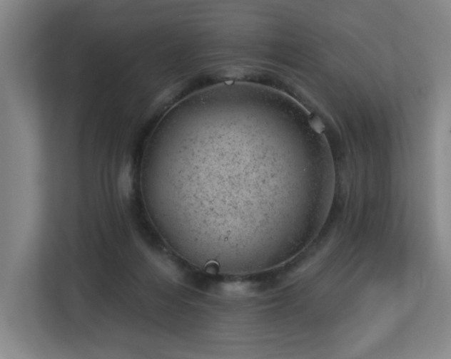 X0000112920216200908241233