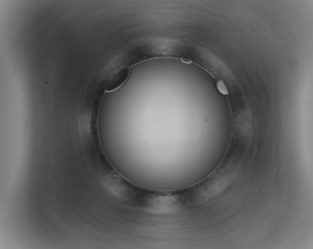 X0000112920217200908241233