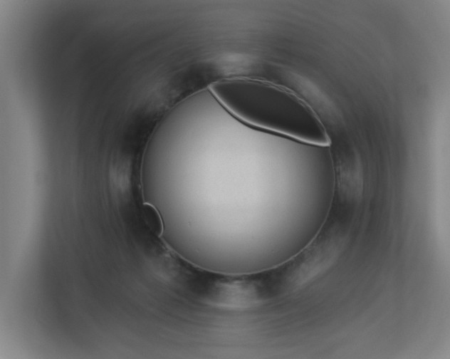 X0000112920221200908241232
